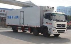 东风天龙小三轴9.4米冷藏车（国五）图片